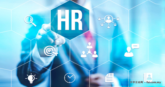 社交媒体投放与流量增长